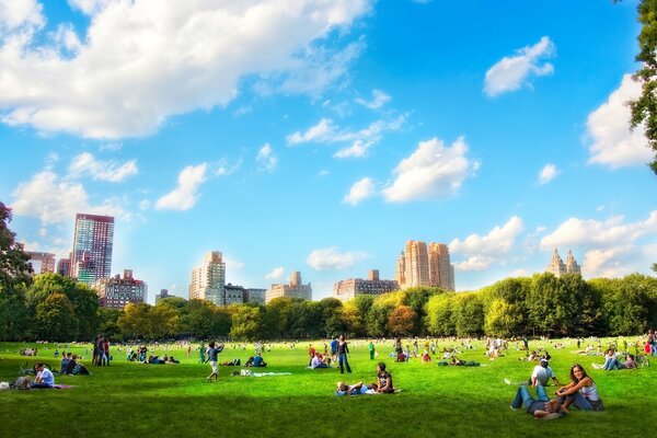 People relaxing on the lawn in the USA park