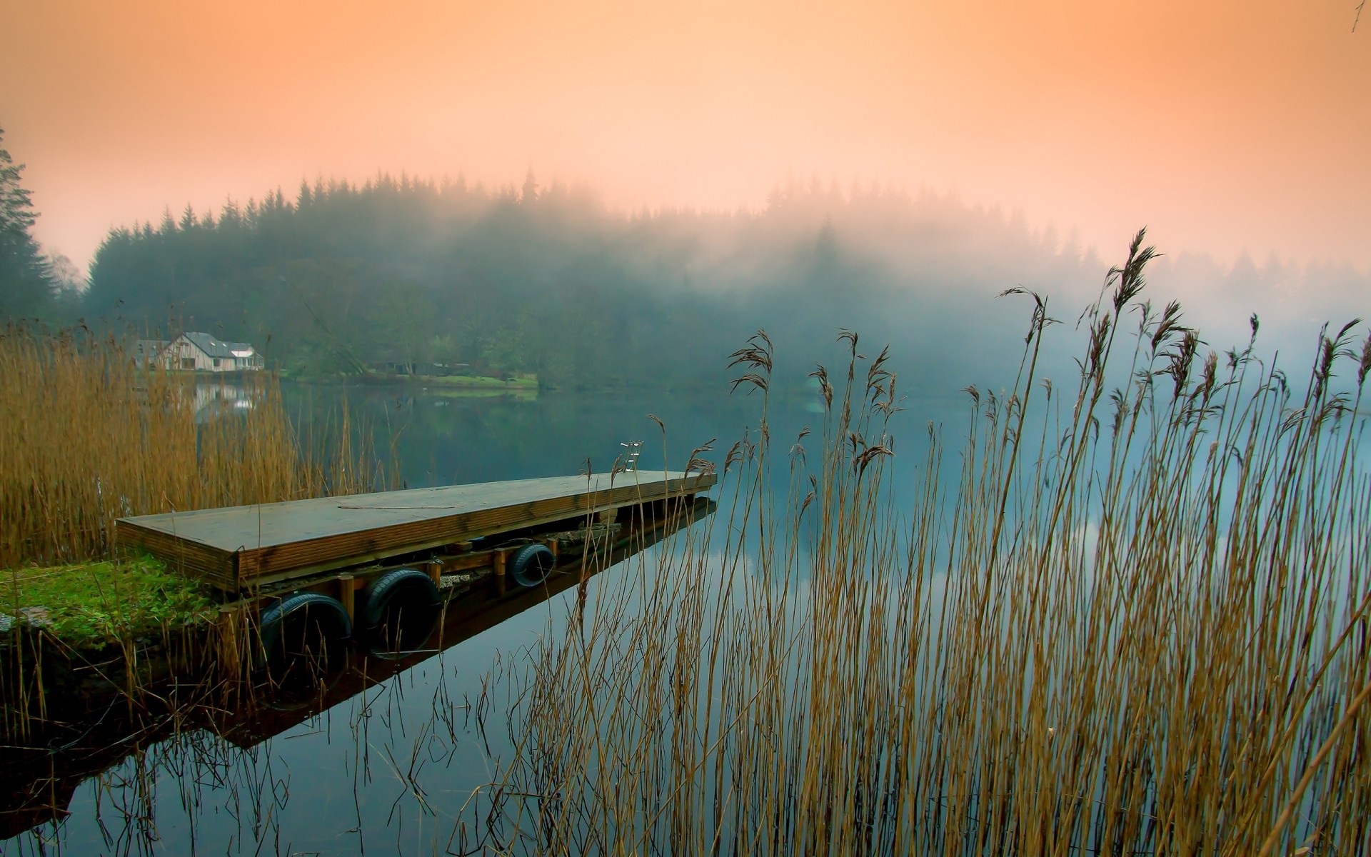 paysage aube coucher de soleil eau lac nature réflexion soleil paysage ciel brouillard à l extérieur voyage lumière brouillard bois été rivière soirée crépuscule plantes