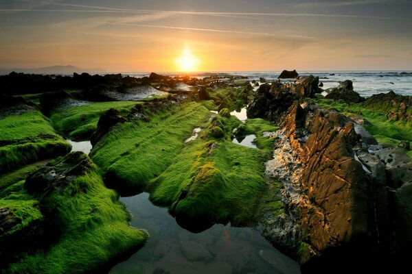 Pedras cobertas de grama em forma de ilhas ao pôr do sol