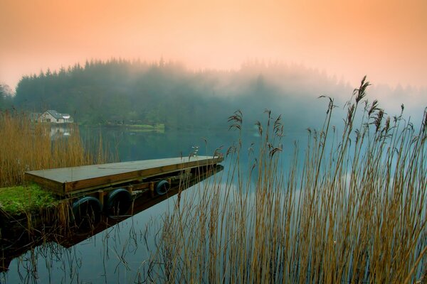 Tramonto serale sul lago con le canne