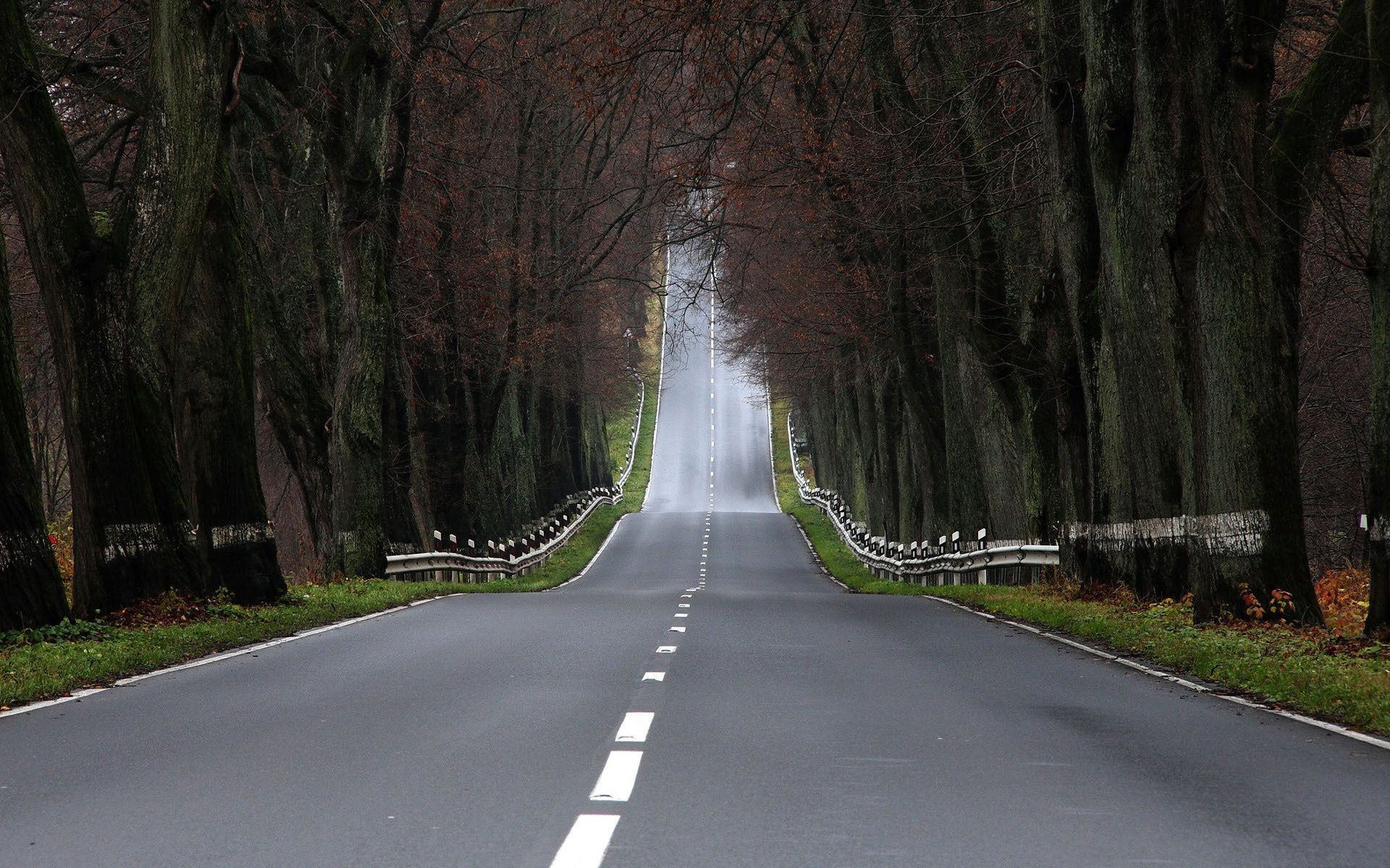 road guidance tree landscape wood highway lane travel asphalt nature transportation system drive outdoors park