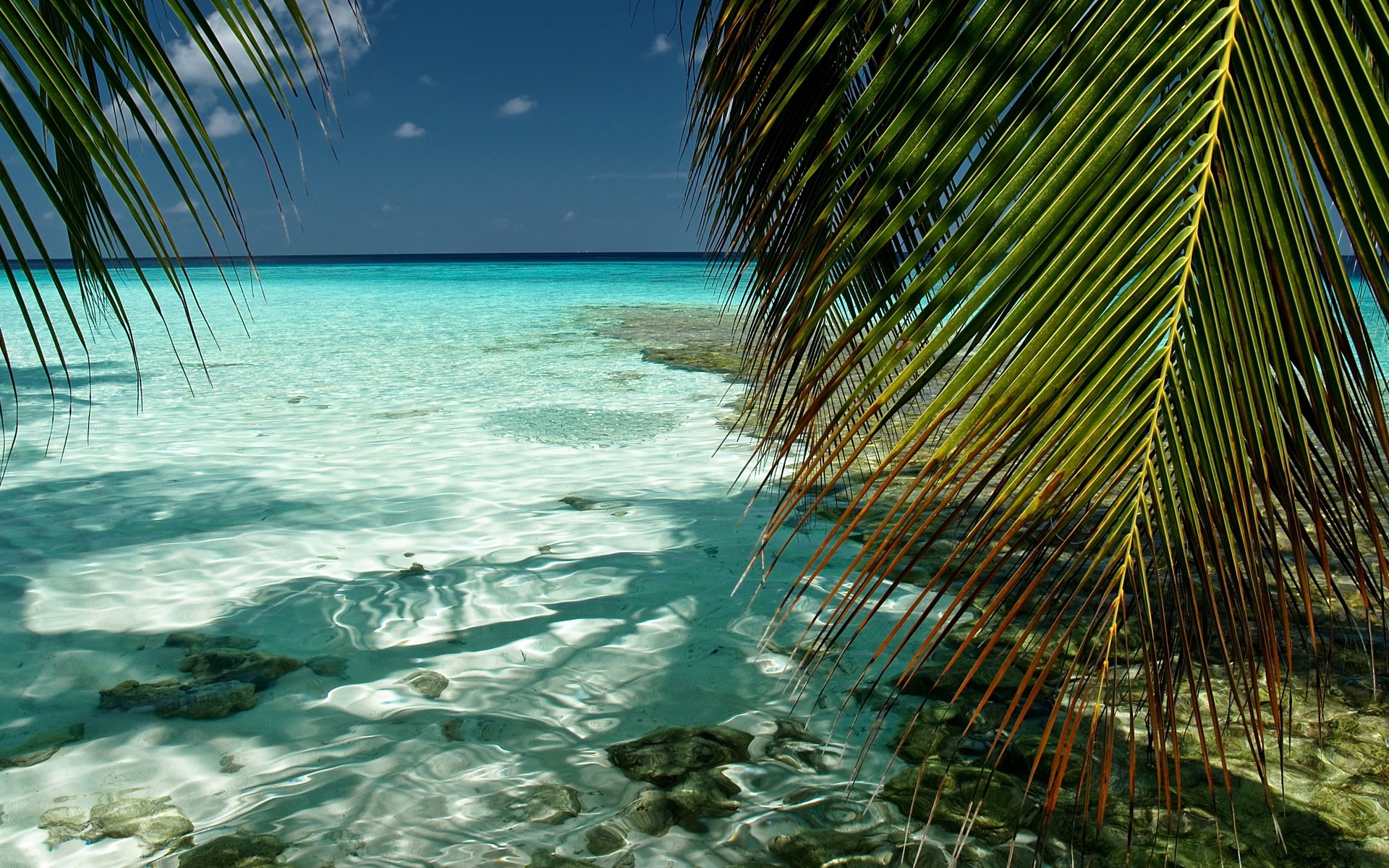 paysage tropical eau plage voyage océan été mer mer turquoise île vacances sable soleil paradis station ciel idyllique beau temps exotique kaafu maldives océan indien feuillage paysage