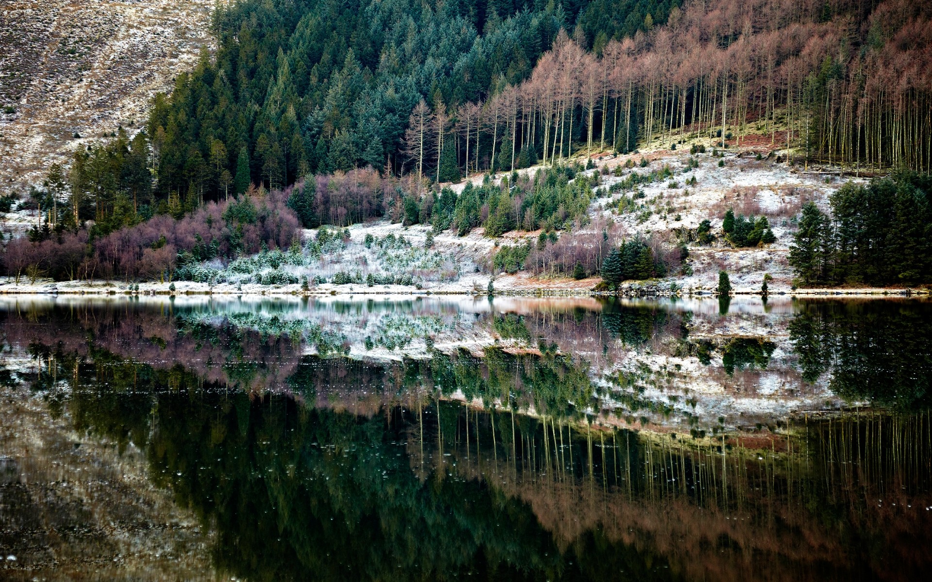 landscapes water nature river landscape travel lake wood reflection mountain tree scenic outdoors sky green background