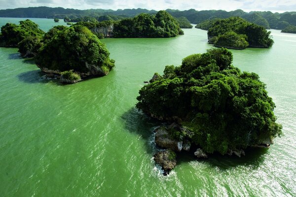 Agua clara. Islas separadas con árboles verdes