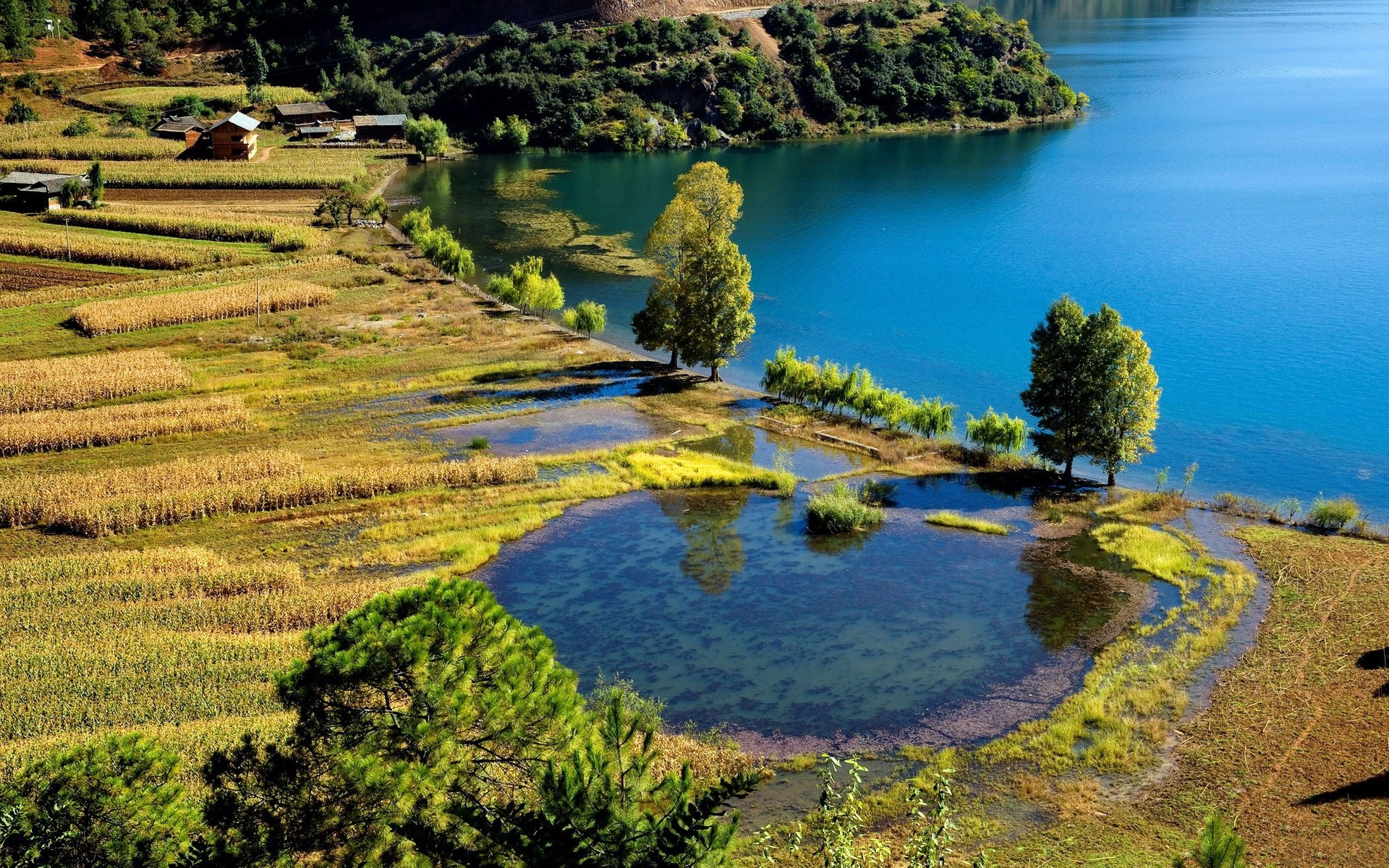 paysage eau nature voyage paysage arbre à l extérieur scénique rivière ciel lac été spectacle campagne tropical mer herbe rural agriculture bois fond mer