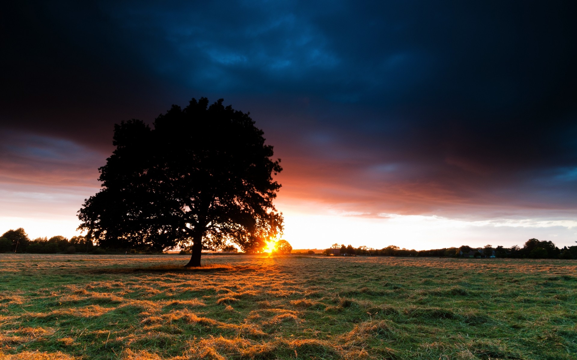 landschaft sonnenuntergang dämmerung sonne natur himmel dämmerung landschaft abend gutes wetter im freien sommer hintergrund baum