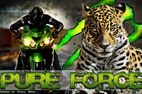 Comparaison d un motocycliste et d un tigre fier