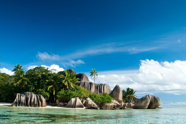 Тропический остров с пальмами и пляжем