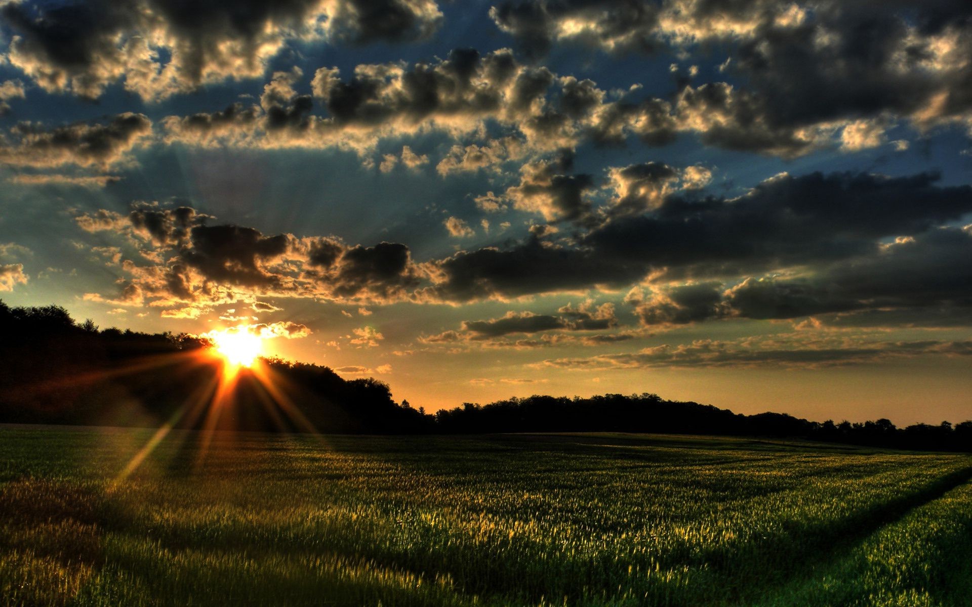 fields meadows and valleys sunset sun dawn landscape nature sky rural field fair weather countryside grass agriculture wheat farm cloud evening