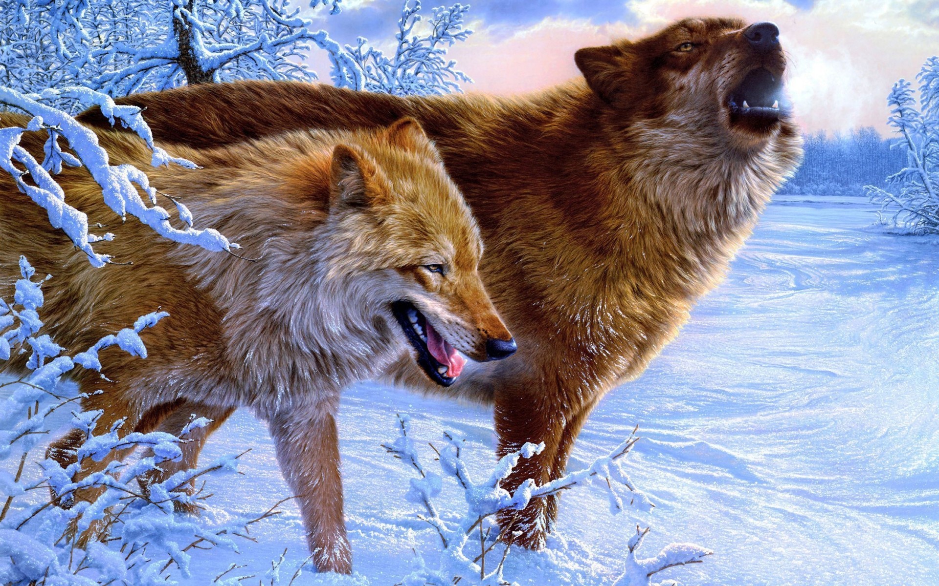 animales mamíferos nieve invierno vida silvestre naturaleza animal al aire libre escarchado frío perro piel salvaje pintura lobo lobos