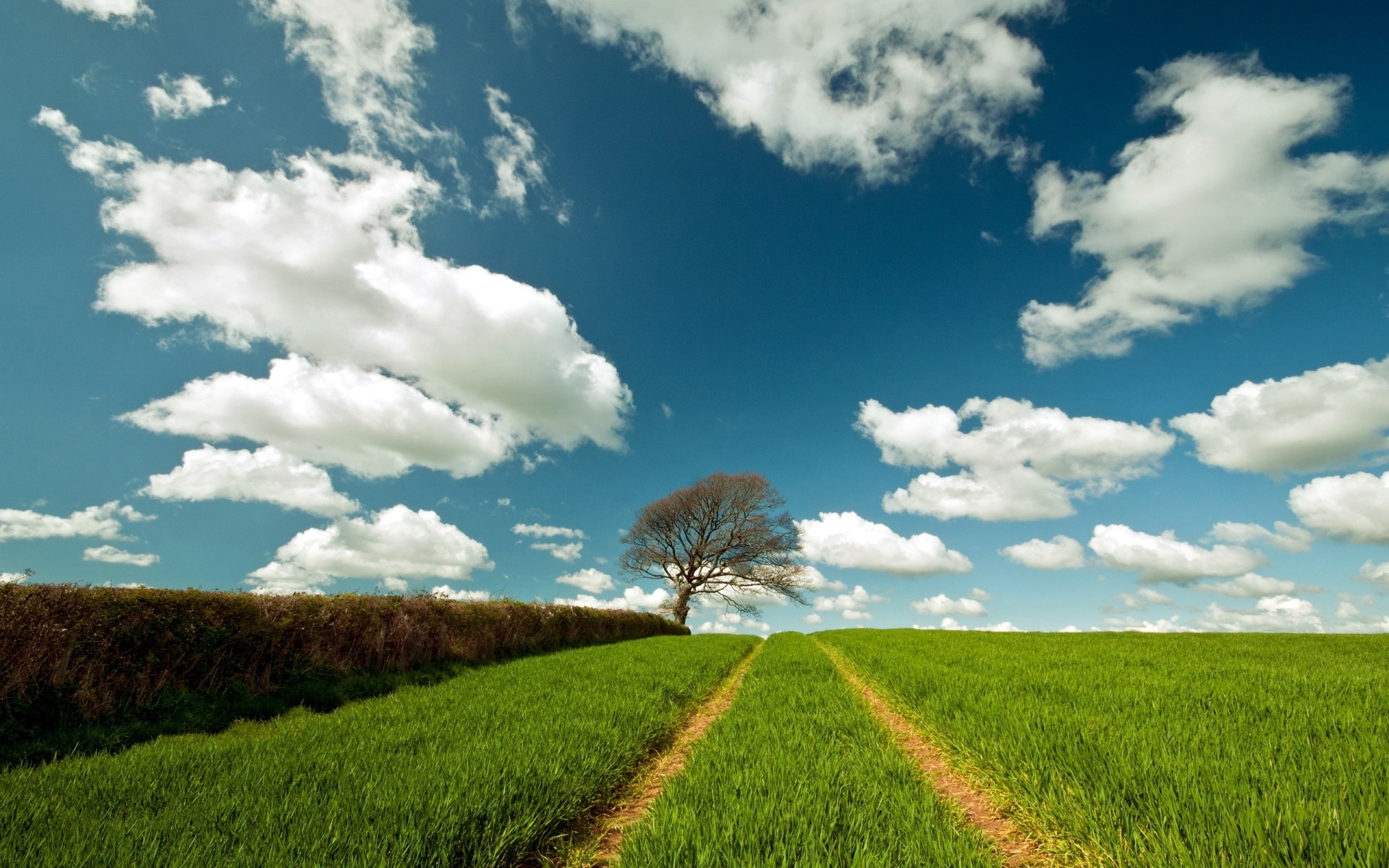 landschaft ländlichen feld landschaft natur himmel landschaft landwirtschaft gras bauernhof wolke weide land boden im freien heuhaufen sommer bewölkt gutes wetter ackerland baum hintergrund grün optimistisch