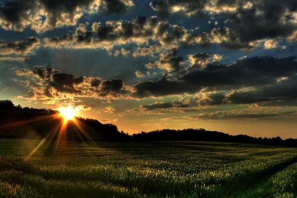 A field in the bright rays of the rising sun on a cloudy sky