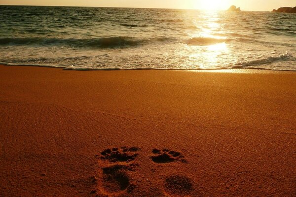 Footprints in the sand. Sunset on the seashore