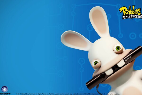 Lapin aux yeux loupes - porte-objets