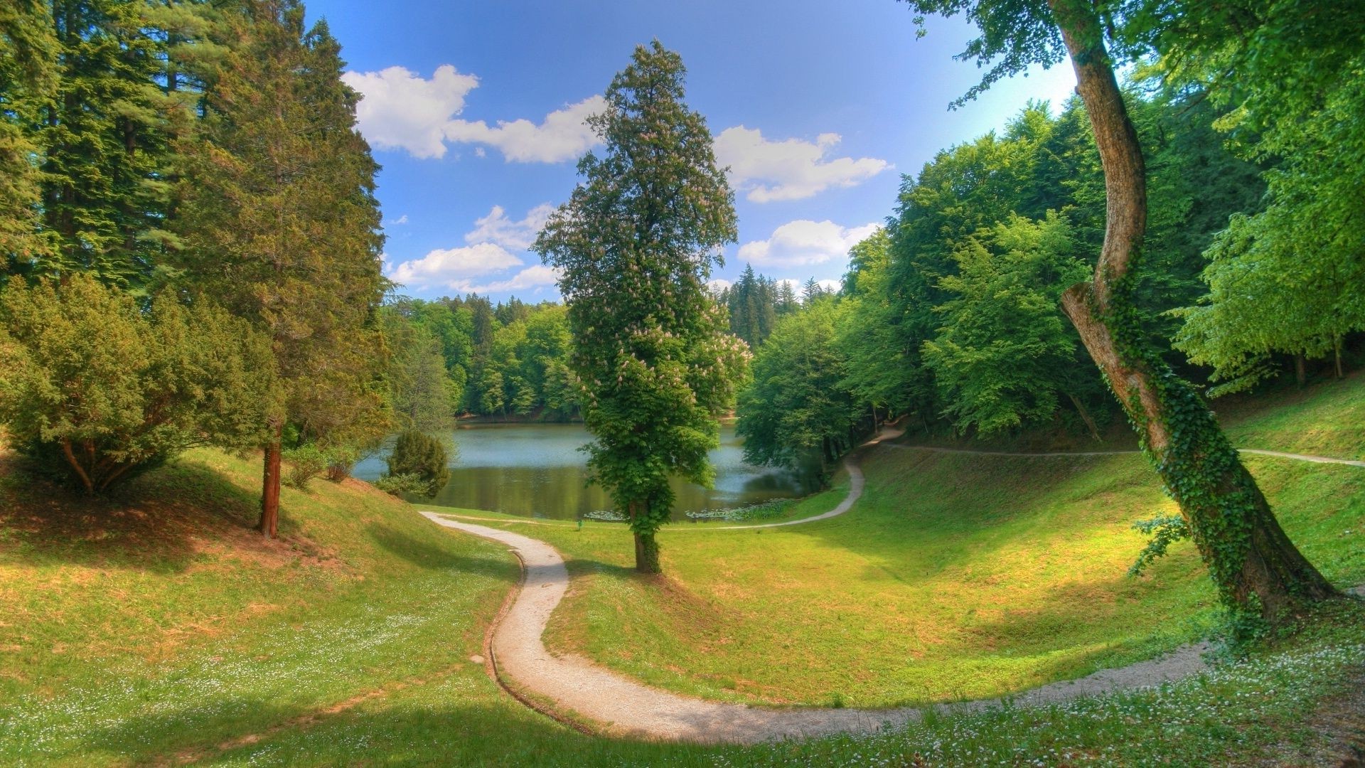 trees tree landscape grass nature wood outdoors road travel scenic summer guidance park environment sky daylight lawn