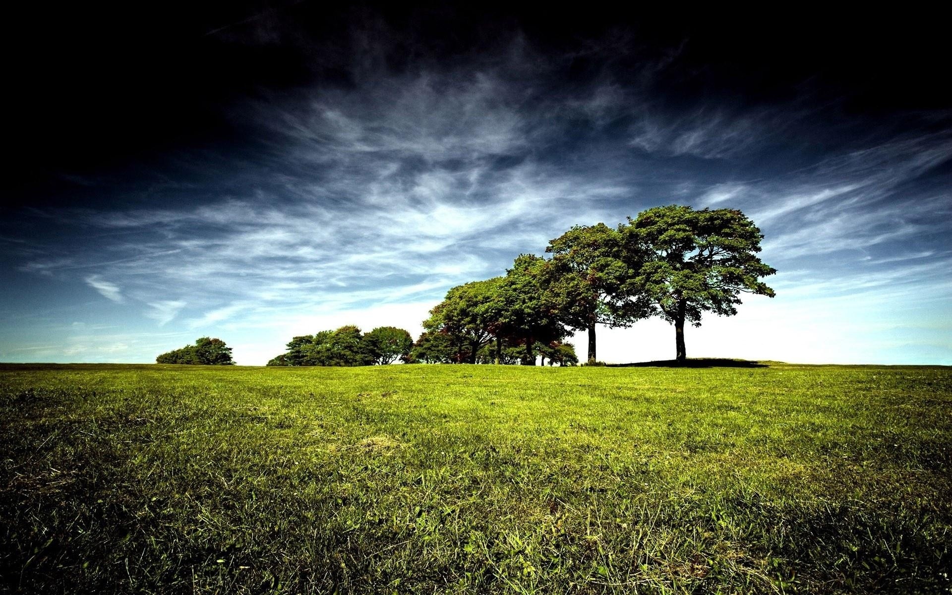 paisagens paisagem árvore natureza grama céu campo ao ar livre campo feno rural sol