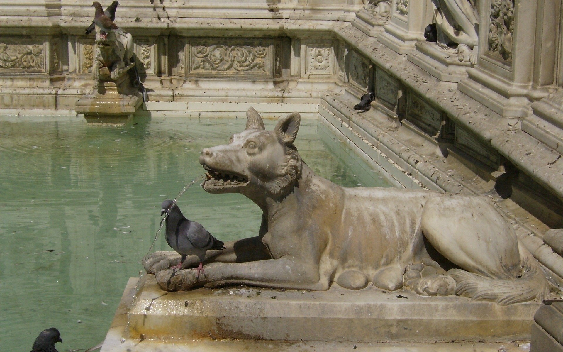 italia scultura fontana statua arte architettura viaggi casa luce del giorno città acqua mammifero museo