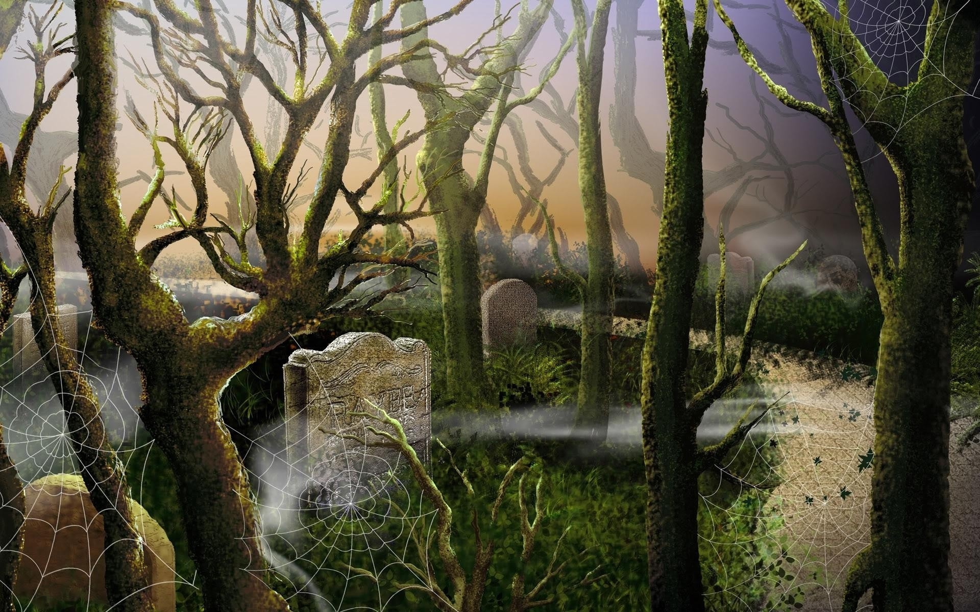 halloween tree wood nature landscape fall moss outdoors leaf branch park flora dawn water light mist environment