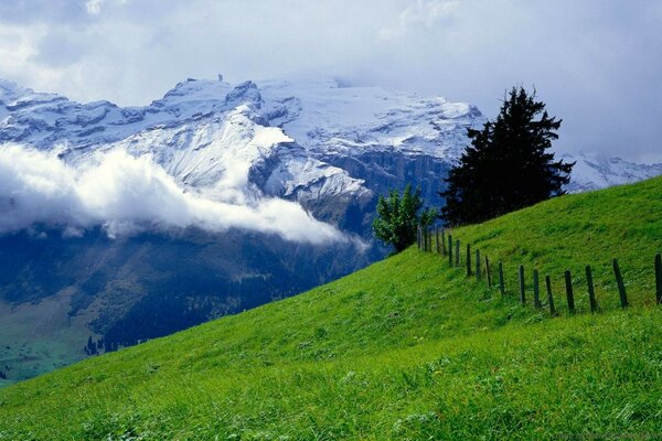 Alpine mountains and snowy peaks