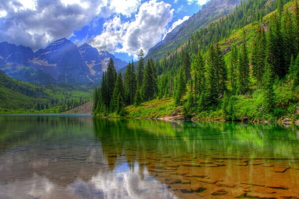 Wunderschöne Natur mit kristallklarem Wasser