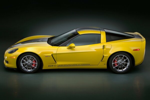 Corvette GT1 édition 2009