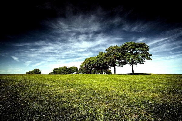 Gloomy sky and green grass