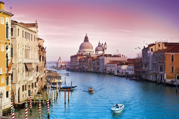 Катара плывущий по голубой воде в Венеции
