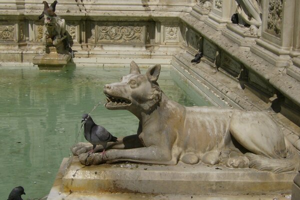 Escultura de um lobo com um pombo vivo