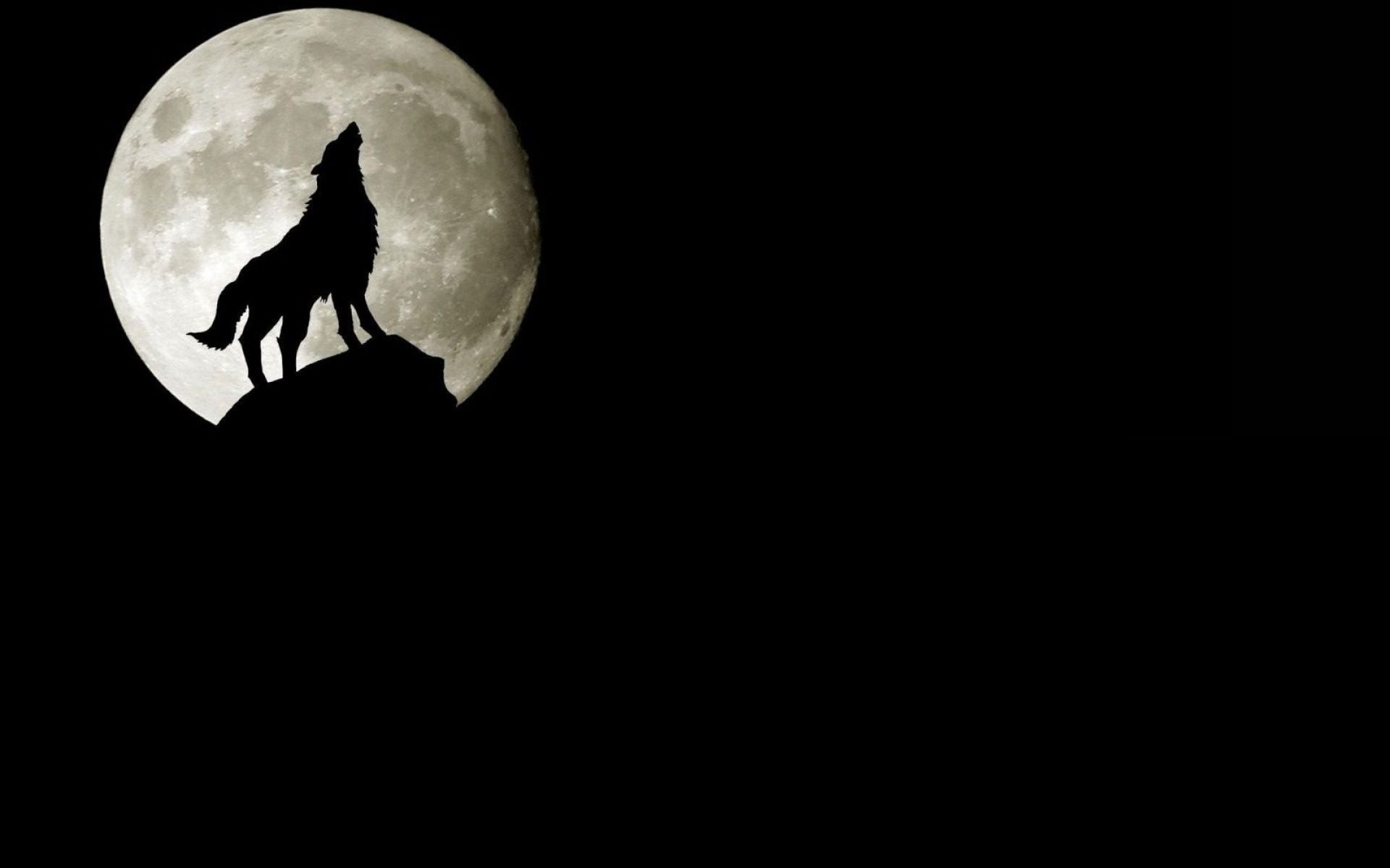 Воющий в ночи волк скачать