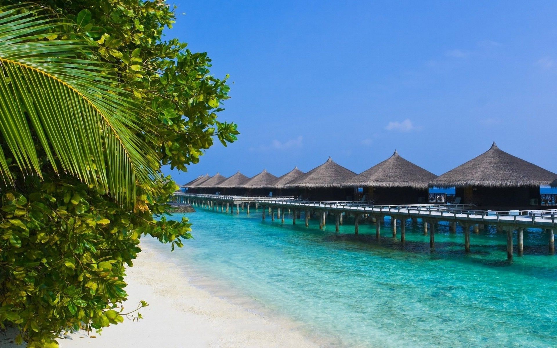 insel tropisch reisen resort wasser exotisch strand meer idylle hotel entspannung insel sommer ozean türkis urlaub sand paradies luxus palmen