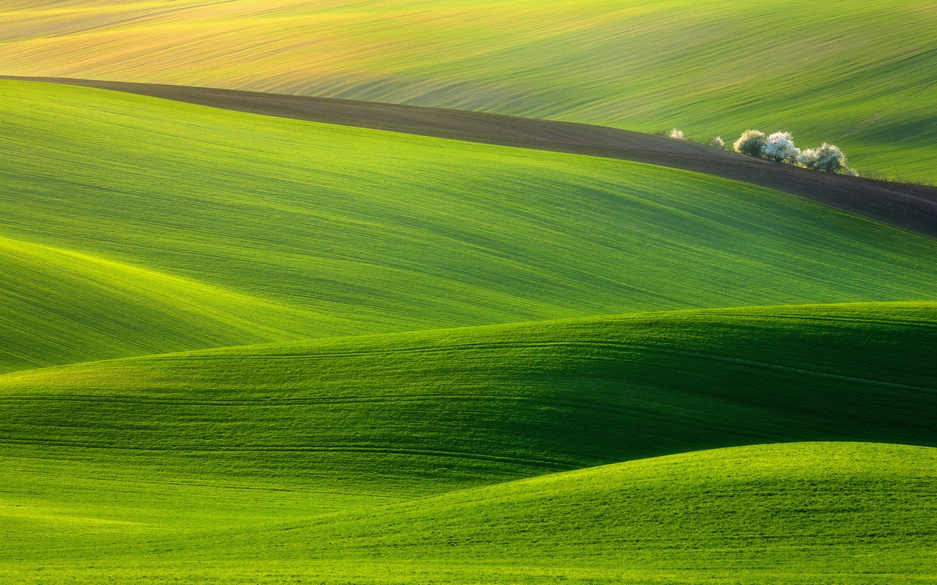 paesaggio rurale campagna erba natura paesaggio pascolo estate campo agricoltura terreno agricolo bel tempo fattoria alba sole all aperto luminoso terreno fieno sfondo colline verdi