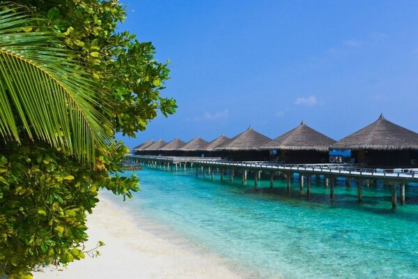 Tropisches Resort mit azurblauem Meer und Sandstrand