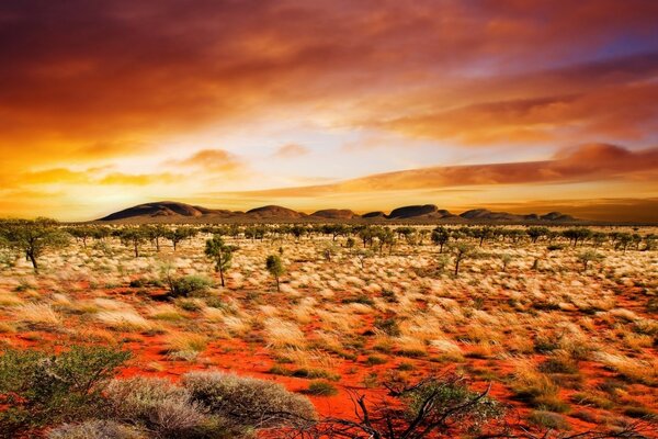 Beau coucher de soleil dans le désert rouge