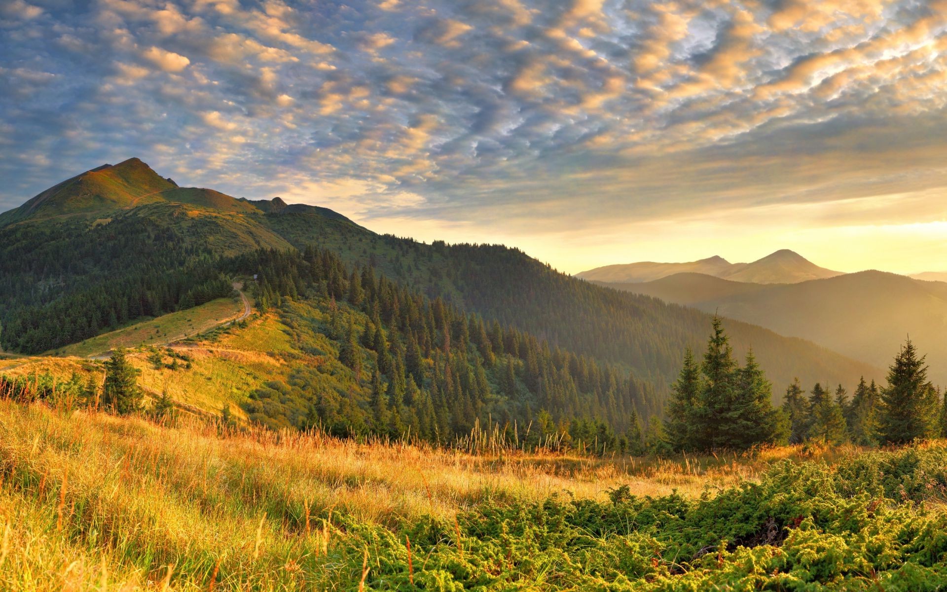 hills mountain landscape travel outdoors sunset nature fall snow dawn sky valley evening fog wood