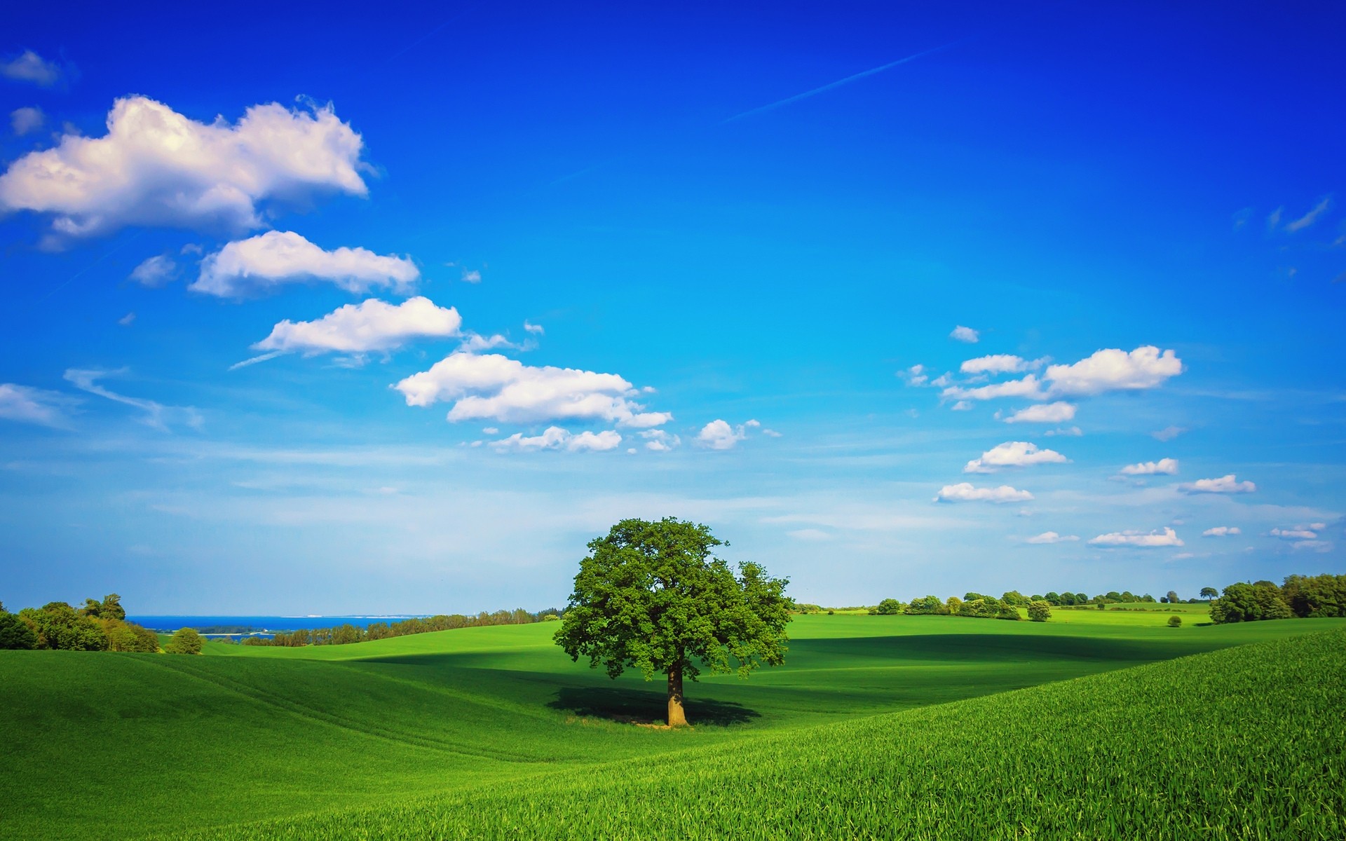 paisaje hierba rural campo naturaleza cielo paisaje pasto heno verano campo agricultura al aire libre buen tiempo suelo granja horizonte idilio nube árbol jardín