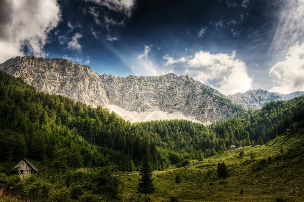 Les arbres et les pierres semblent se faire des amis