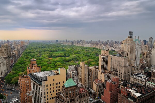 Parque verde em uma matriz residencial