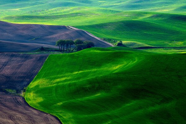 Terra arada e perto de um cobertor verde