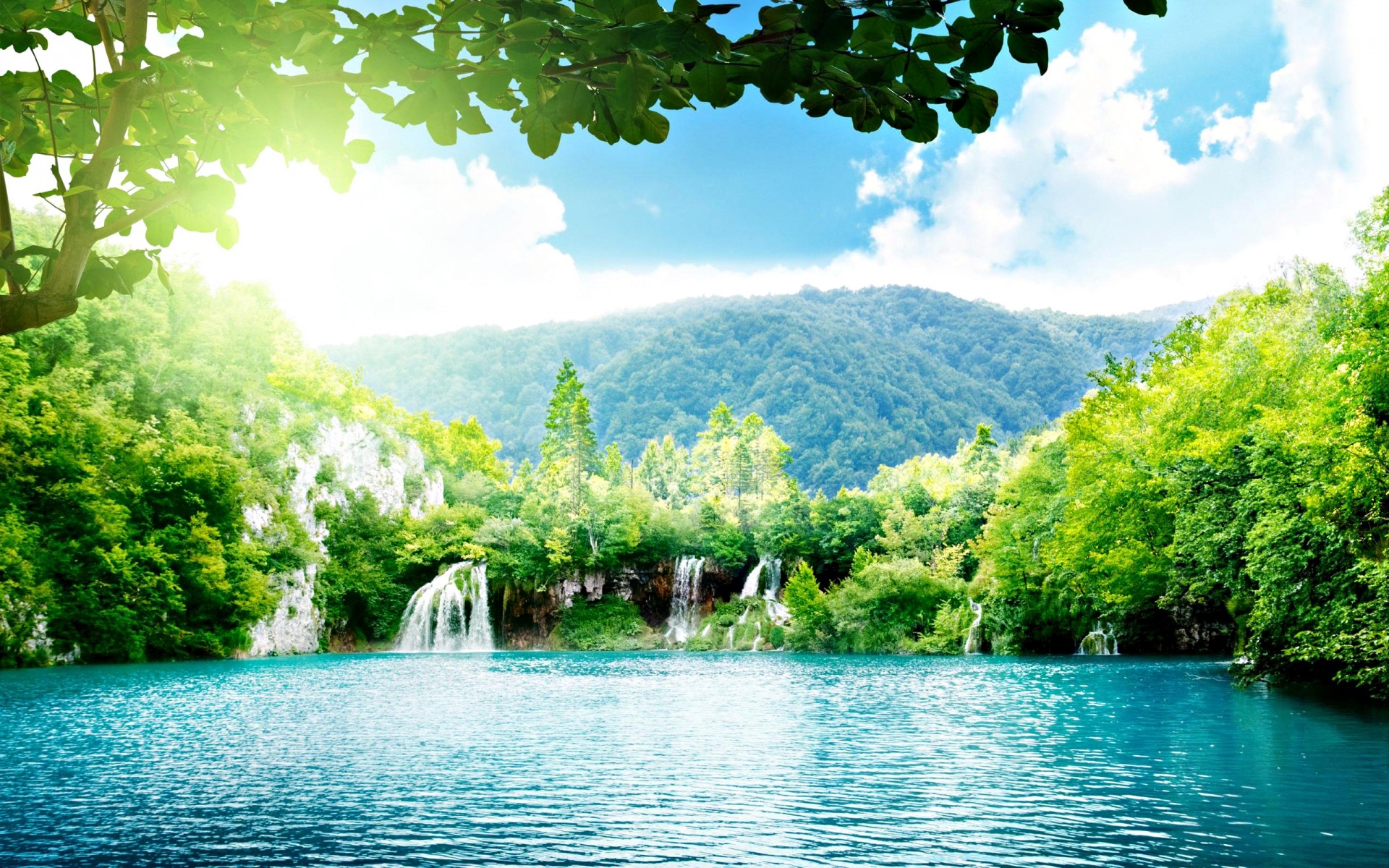 landschaft wasser natur holz holz sommer reisen fluss see tropisch landschaft im freien blatt landschaftlich schön idylle park schauspiel gelassenheit paradies wald