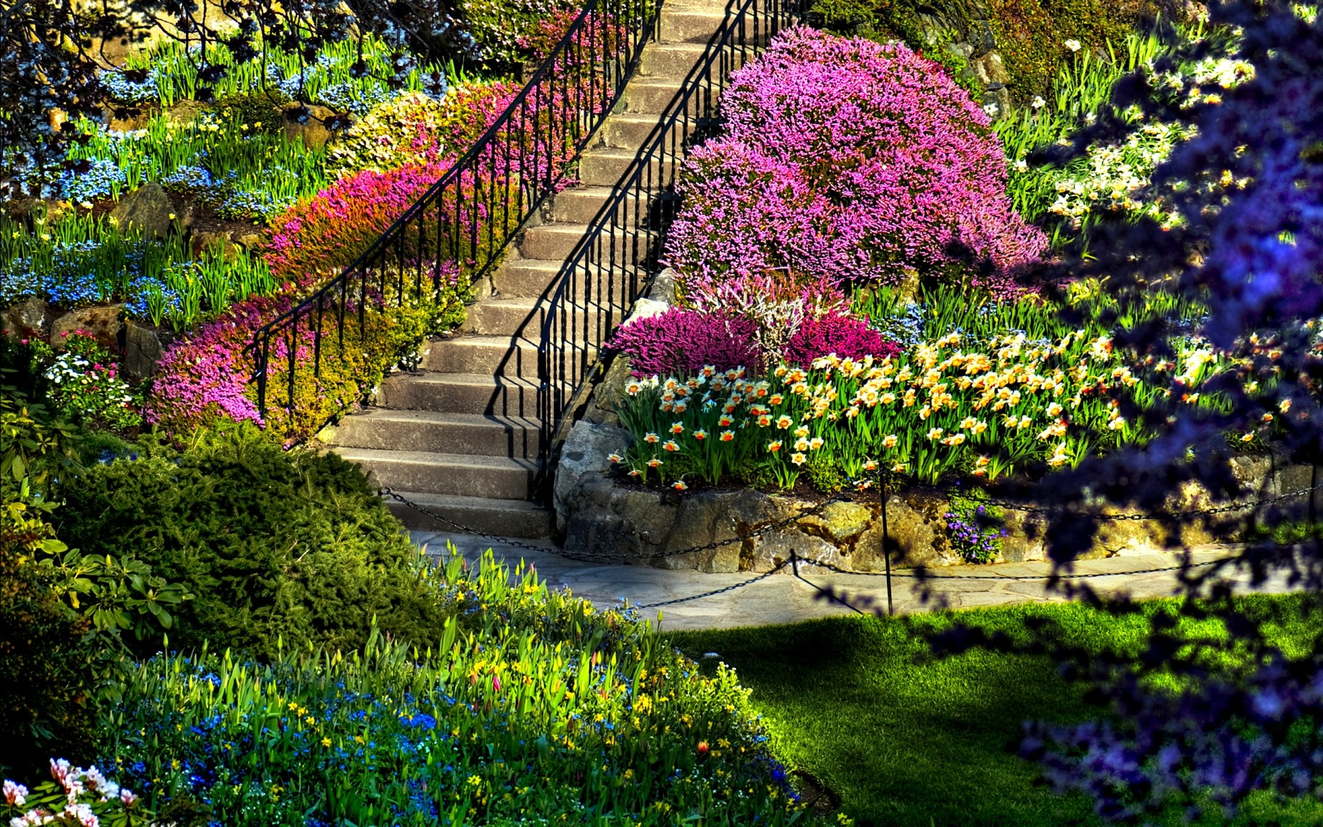 paisaje flor jardín naturaleza flora árbol parque hoja al aire libre verano crecimiento césped estación color floración arbusto botánico hierba guía yarda