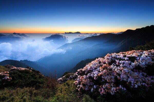 Montagne in fiore tra le nuvole al tramonto