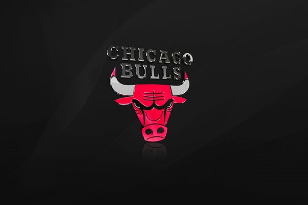 Chicago Bulls emblème sur fond noir