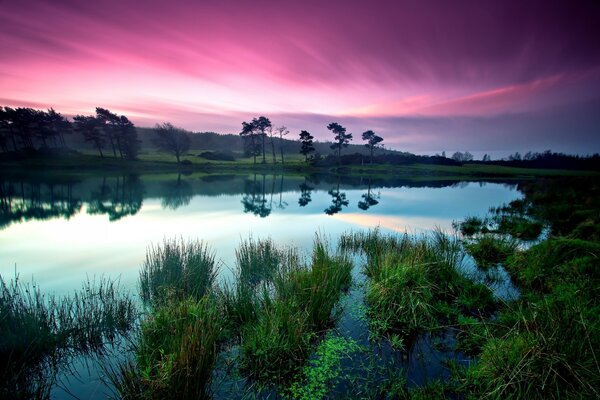 La couleur pourpre se reflétait dans le ciel aujourd hui