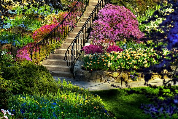 一个明亮的景观，一个盛开的花园和台阶