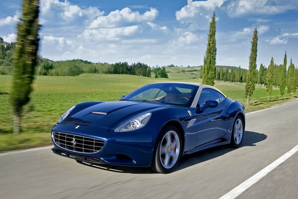 A Ferrari car racing along the highway along a row of cypress trees