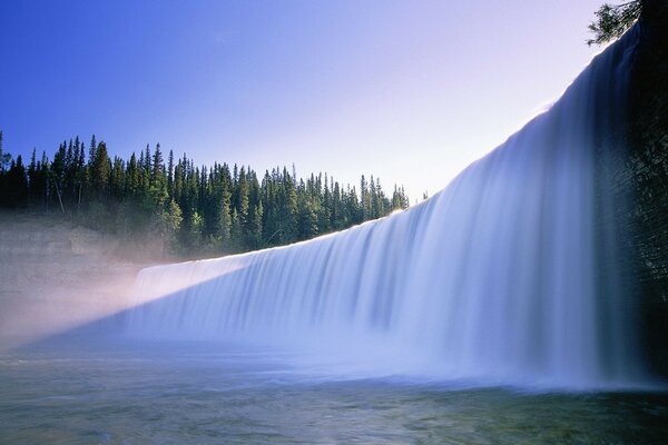 A wide waterfall in a coniferous forest