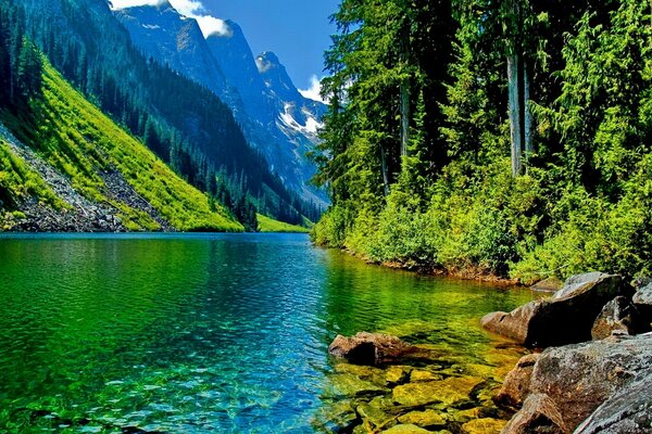 Paisaje de verano con montañas y lago