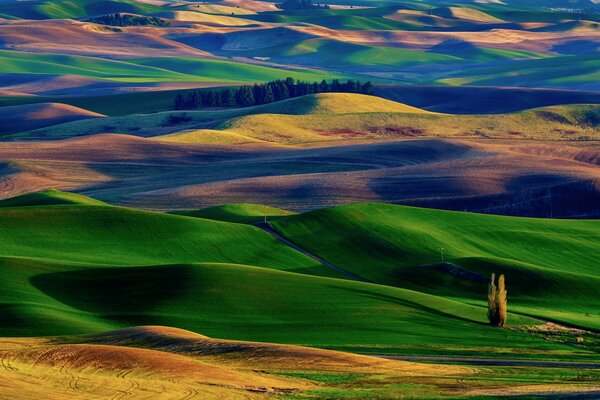 Paysage de collines vertes et jaunes