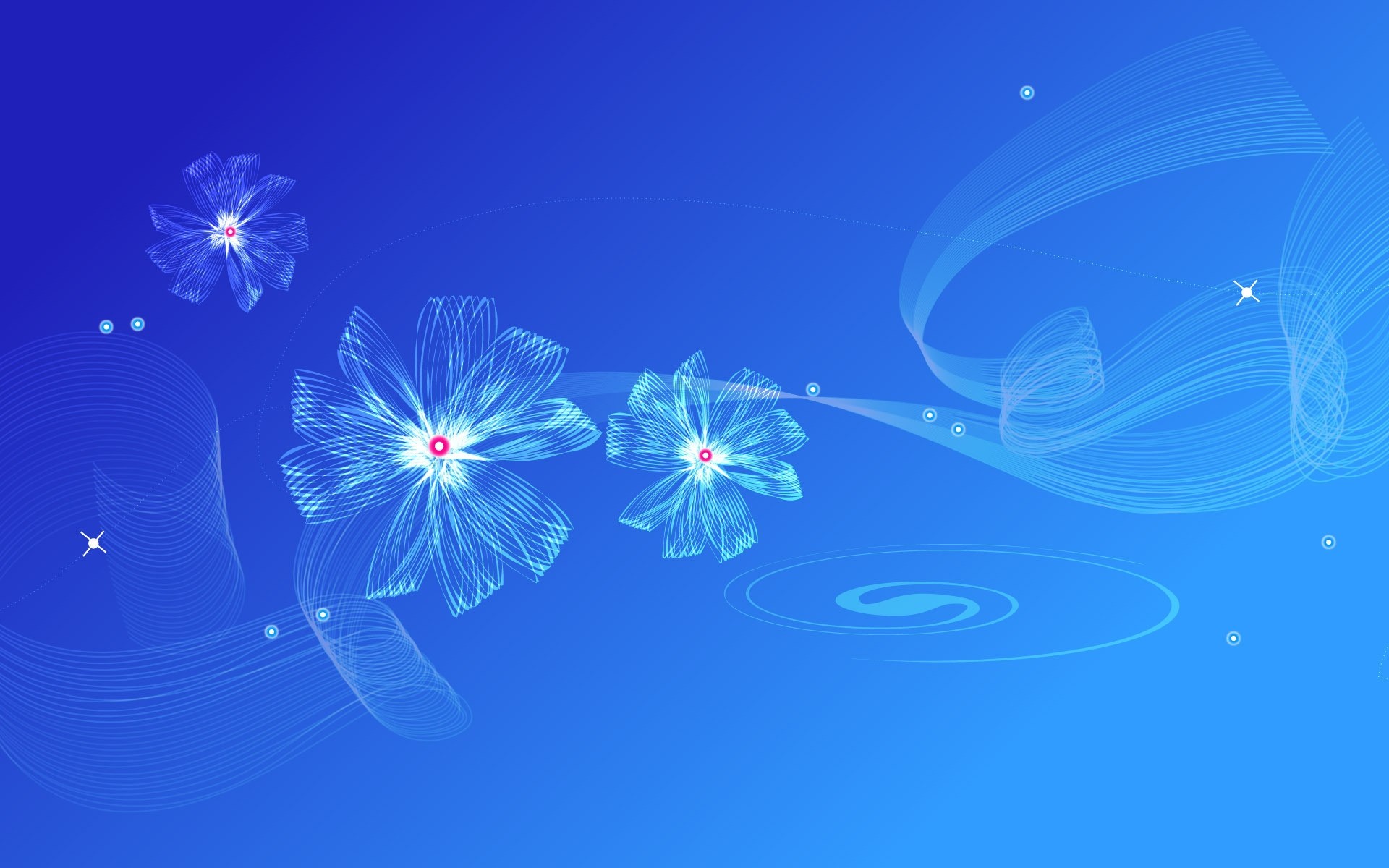 flowers desktop abstract illustration nature color flower background blue background