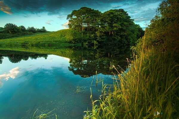 A quiet place for fishing